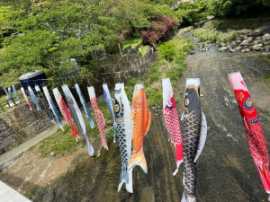 赤松（あかまつ）きりのの写メ日記画像