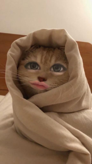 あずの写メ日記画像