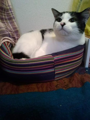 堺あきの写メ日記画像