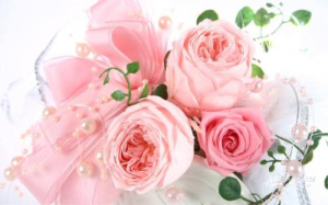 ひなのの写メ日記画像