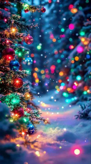 みやびの写メ日記画像