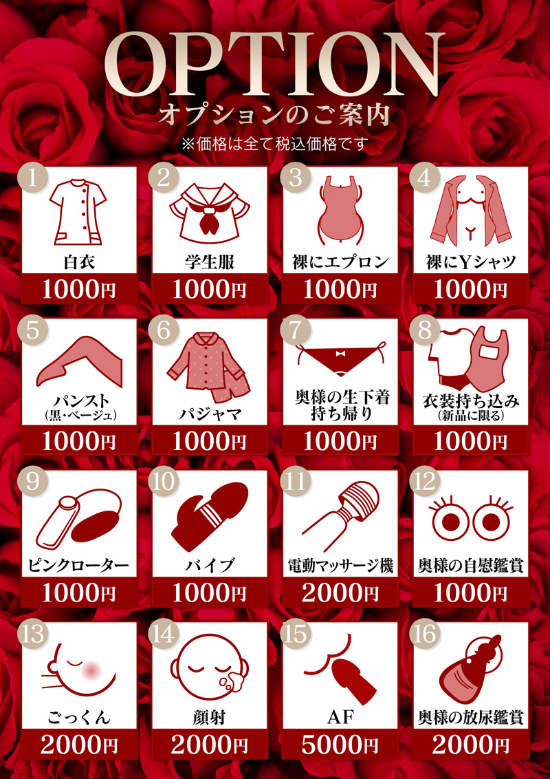 オプション一覧