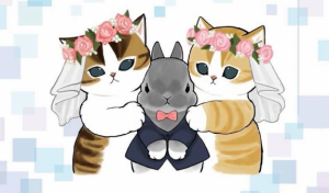 まきの写メ日記画像
