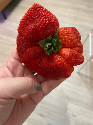 ななの写メ日記画像