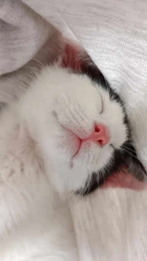 ゆいの写メ日記画像