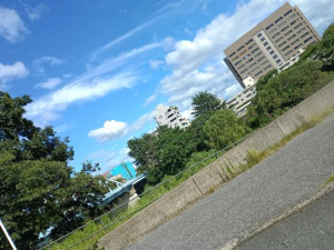 ゆいの写メ日記画像