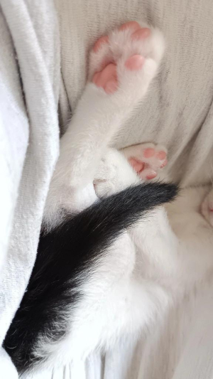 ゆいの写メ日記画像