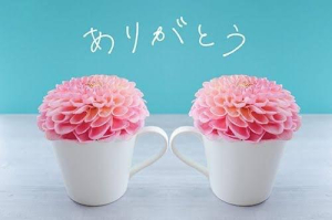 まみの写メ日記画像