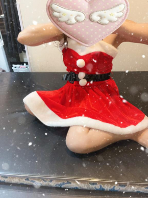 ふうかの写メ日記画像