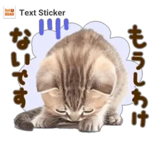 田辺ちあきの写メ日記画像