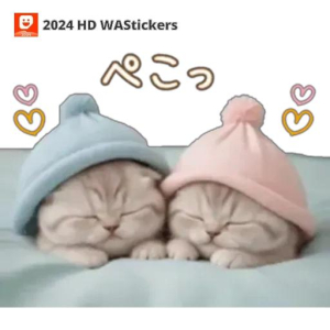 田辺ちあきの写メ日記画像