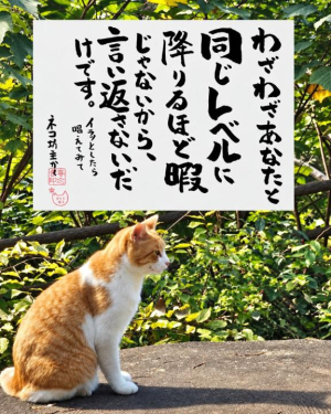 片山はるこの写メ日記画像