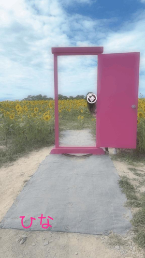 ひなの写メ日記画像