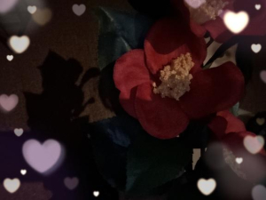 しおりの写メ日記画像