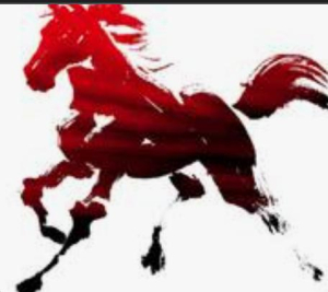 ねねの写メ日記画像