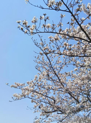 あみの写メ日記画像