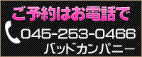0452530466