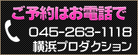 0452631118
