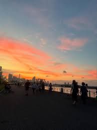 最新情報の画像