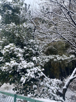 さらさの写メ日記画像