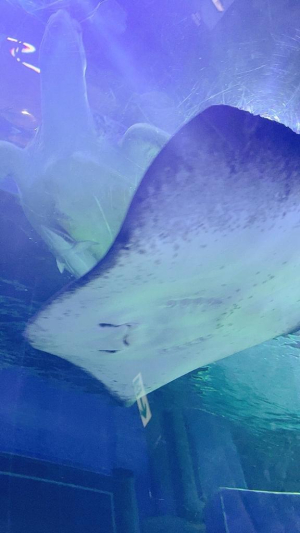 らなの写メ日記画像