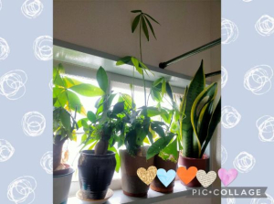 ゆうの写メ日記画像