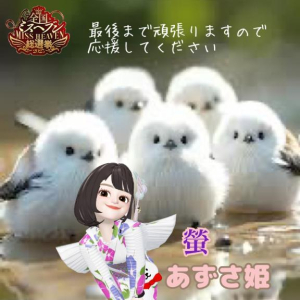 あずさ姫の写メ日記画像